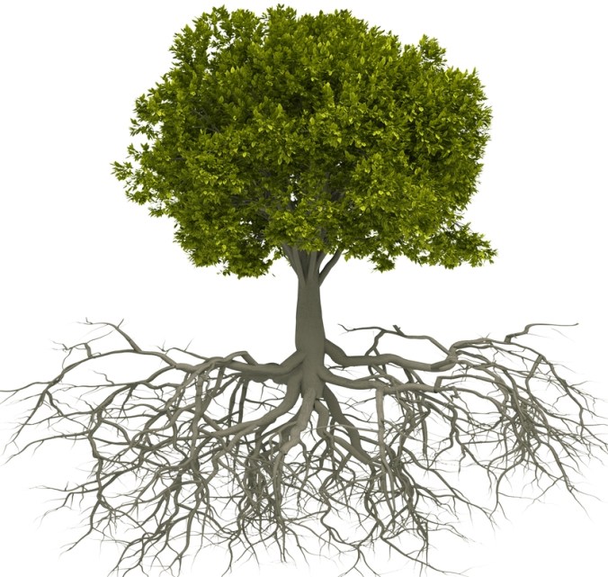 About Kettle Falls Community Church